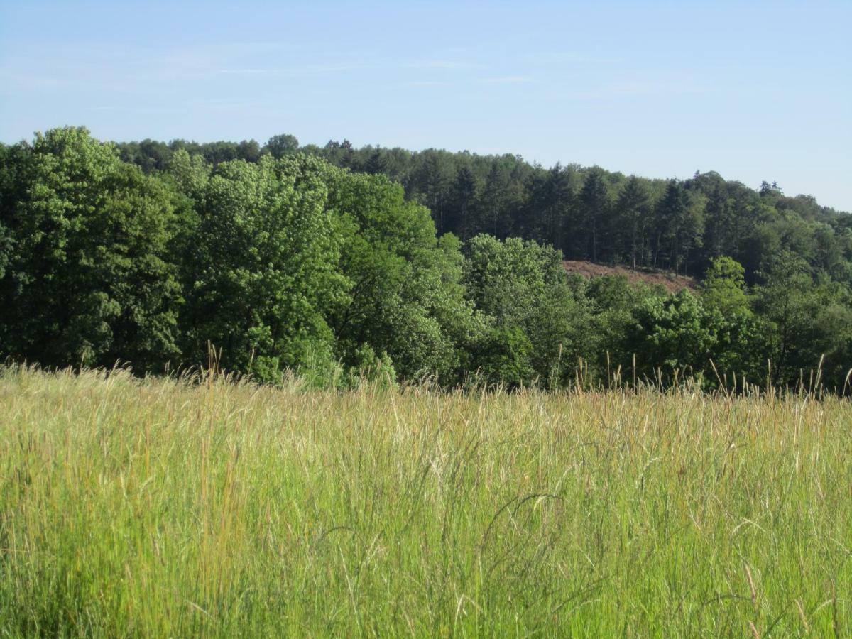 Ferienwohnung Erlenhof Engelskirchen Zewnętrze zdjęcie